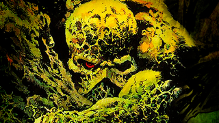 DC is growing a live-action <i>Swamp Thing </i>series for its upcoming streaming service